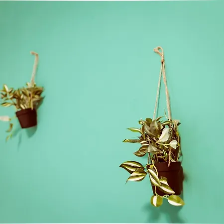 Adriano Appartamento Torino